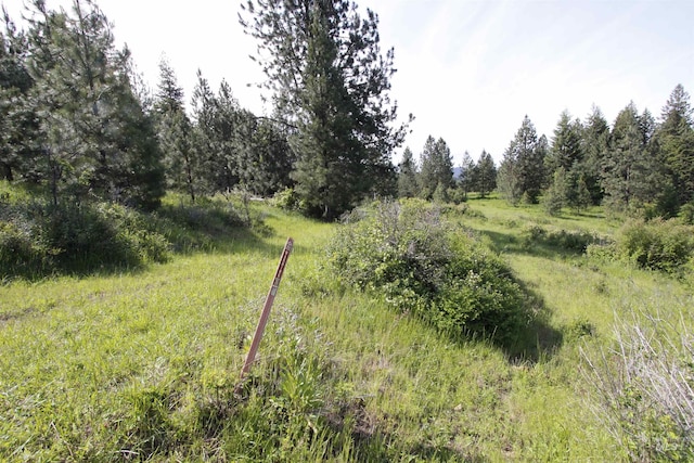 TBD Smokey Bear Ln, Kendrick, ID 83537