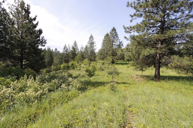 TBD Smokey Bear Ln, Kendrick, ID 83537