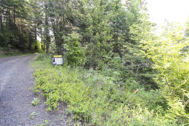 TBD Smokey Bear Ln, Kendrick, ID 83537