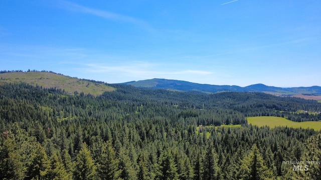 TBD Smokey Bear Ln, Kendrick, ID 83537