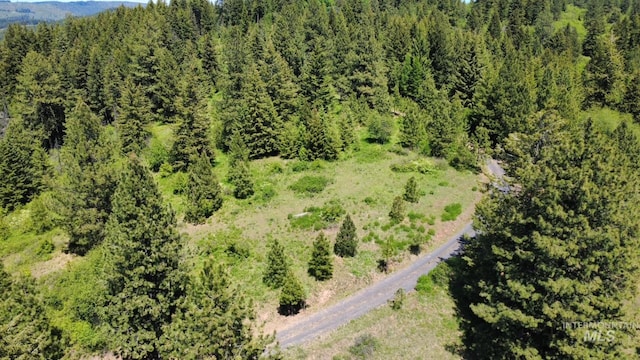 TBD Smokey Bear Ln, Kendrick, ID 83537