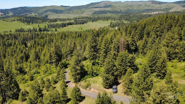 TBD Smokey Bear Ln, Kendrick, ID 83537