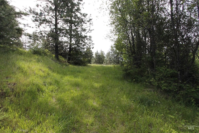 TBD Smokey Bear Ln, Kendrick, ID 83537