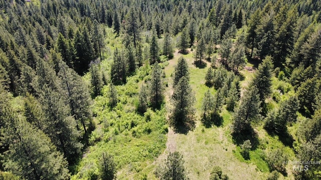 TBD Smokey Bear Ln, Kendrick, ID 83537