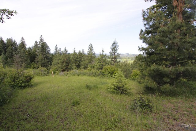 TBD Smokey Bear Ln, Kendrick, ID 83537