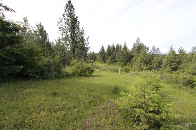 TBD Smokey Bear Ln, Kendrick, ID 83537