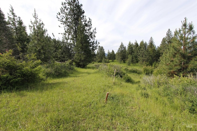 TBD Smokey Bear Ln, Kendrick, ID 83537
