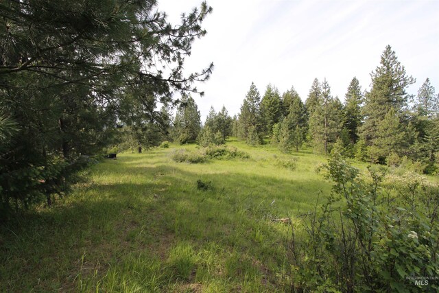 TBD Smokey Bear Ln, Kendrick, ID 83537