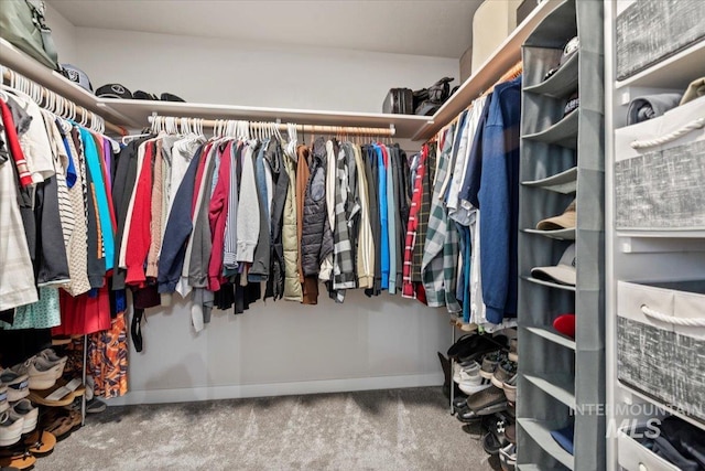 walk in closet with carpet