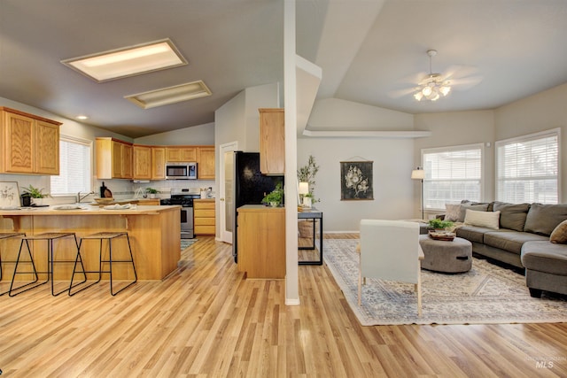 kitchen with stainless steel appliances, lofted ceiling, a peninsula, and open floor plan