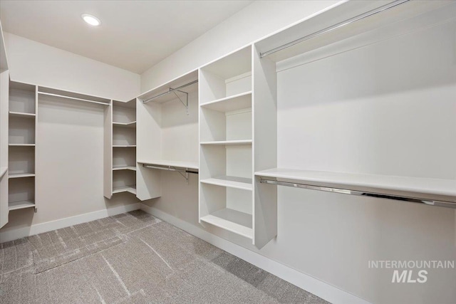 3119 Crescent Moon Rd, Twin Falls, ID 83301 - walk in closet featuring carpet floors