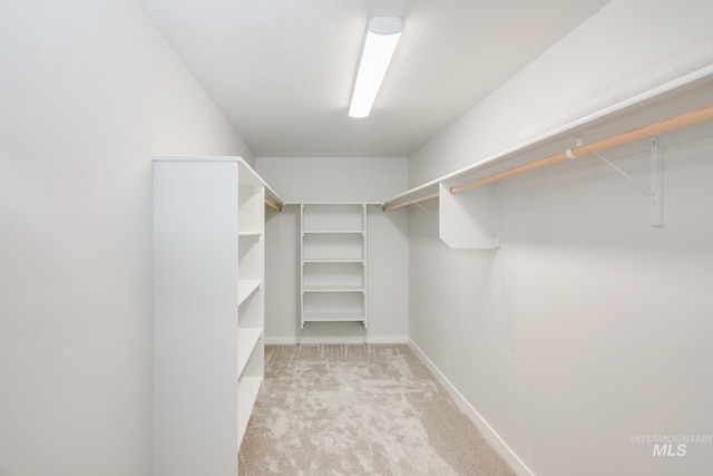 walk in closet featuring light carpet