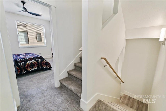 staircase with ceiling fan, baseboards, and carpet flooring