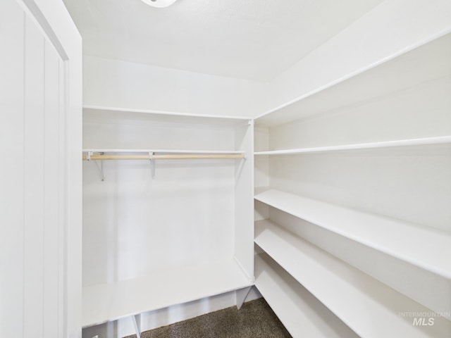 2624 Iowa Ave, Caldwell, ID 83605 - spacious closet featuring carpet floors