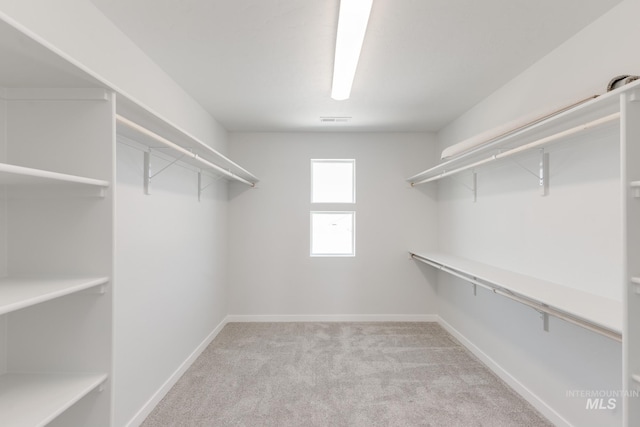 3819 W Tribute St, Meridian, ID 83642 - spacious closet featuring carpet flooring