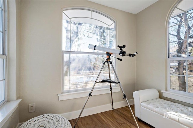 sitting room featuring hardwood / wood-style flooring and a wealth of natural light