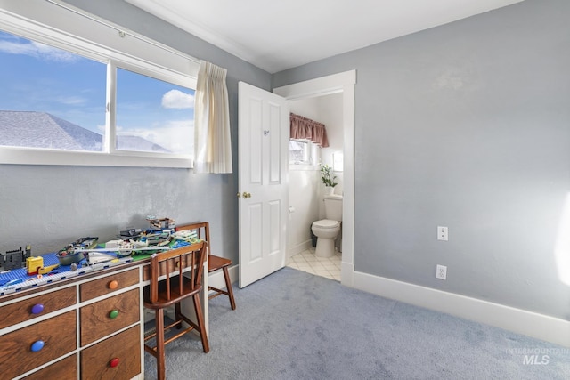 office featuring carpet flooring and baseboards