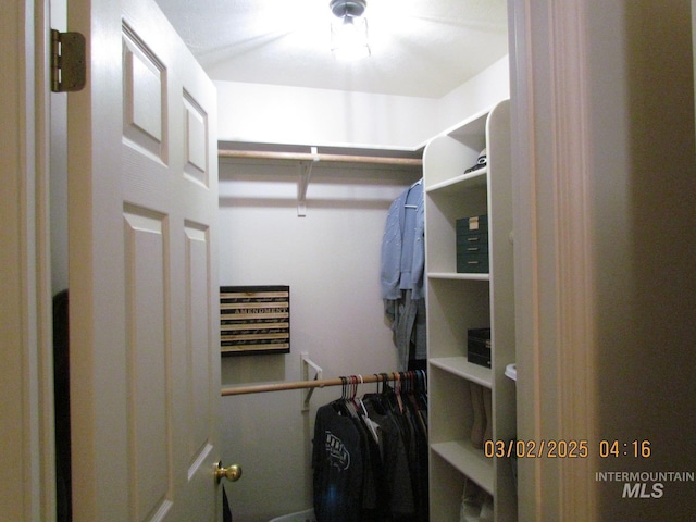 view of walk in closet