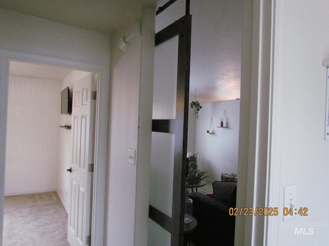 corridor featuring a barn door and carpet flooring