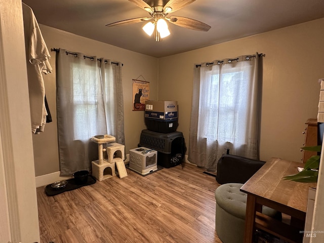 821 3rd St, Lewiston, ID 83501 - office space with wood finished floors and ceiling fan