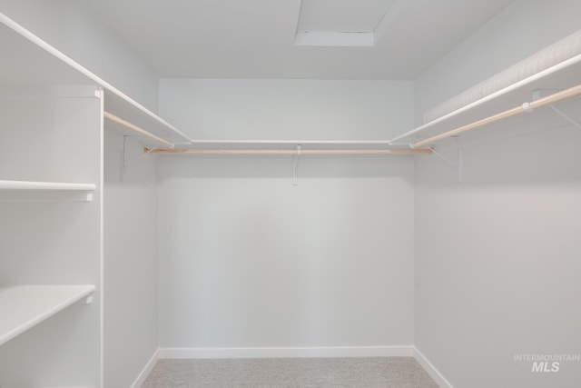 5011 S Amorita Ave, Meridian, ID 83642 - spacious closet with carpet floors