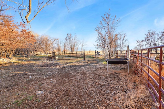 view of yard featuring a rural view