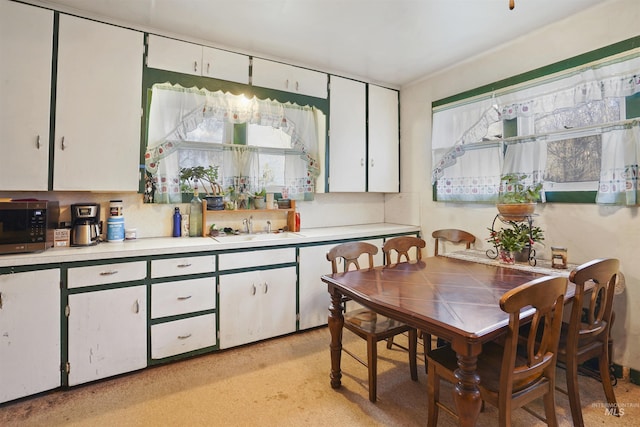 2727 E 3300 N, Twin Falls, ID 83301 - kitchen with a sink, stainless steel microwave, light countertops, and healthy amount of natural light