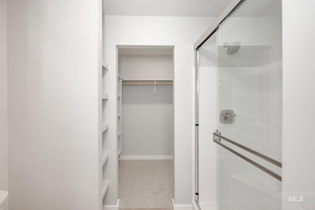 walk in closet featuring carpet flooring