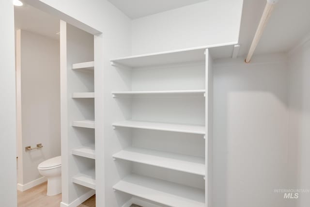 walk in closet featuring light wood-style flooring