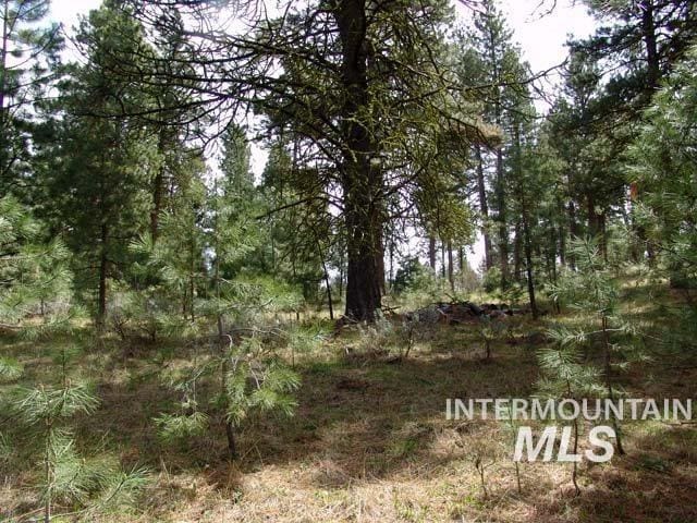 1483 Pine Lakes Ranch Rd, Cascade ID, 83611 land for sale