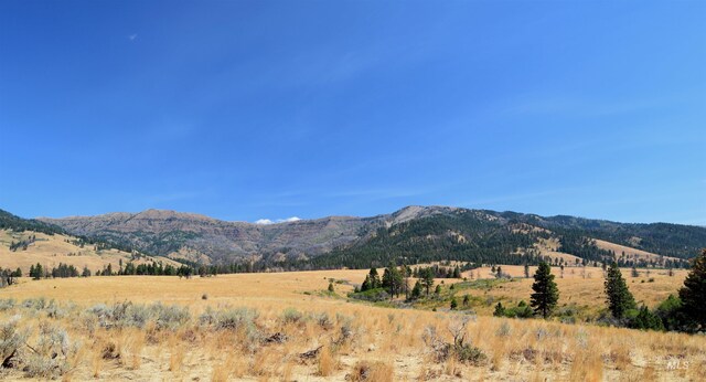 TBD Highway 71, Cambridge, ID 83610