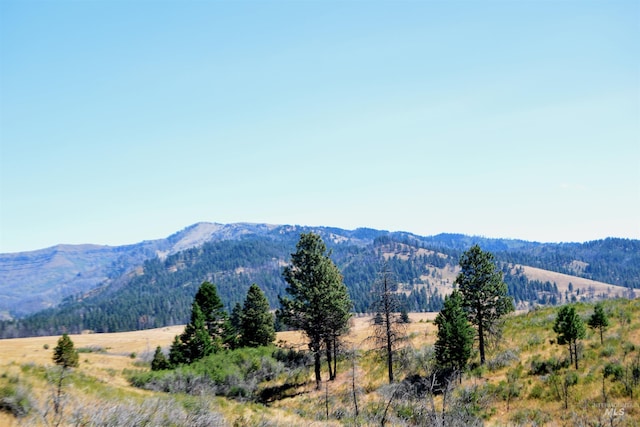 TBD Highway 71, Cambridge, ID 83610
