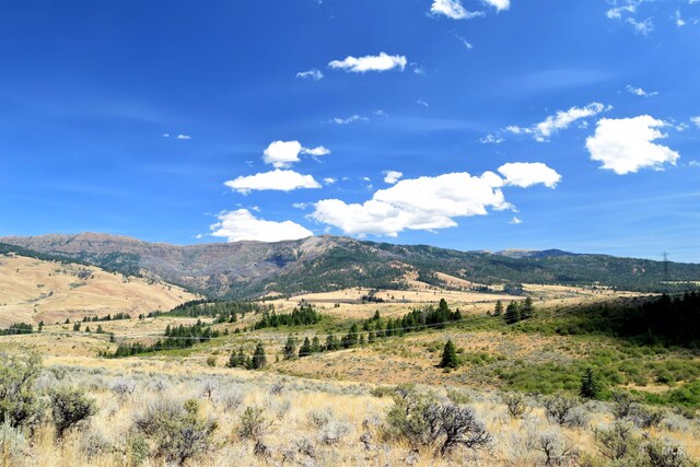 TBD Highway 71, Cambridge, ID 83610