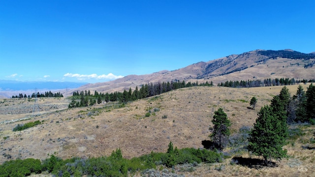 TBD Highway 71, Cambridge, ID 83610