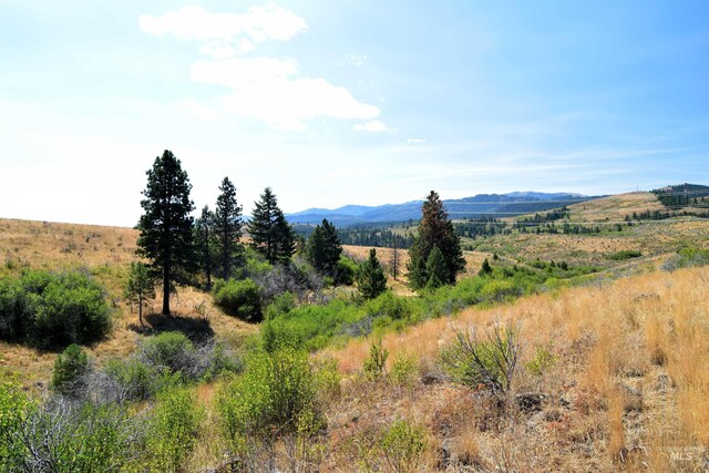 TBD Highway 71, Cambridge, ID 83610