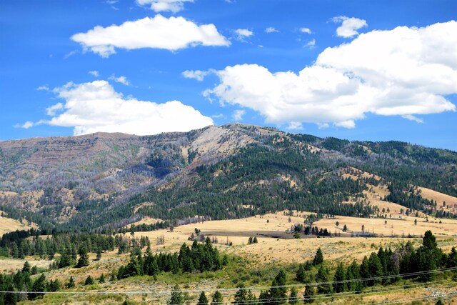 TBD Highway 71, Cambridge, ID 83610