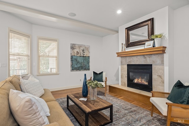 living room with a fireplace and hardwood / wood-style floors