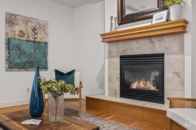 room details featuring hardwood / wood-style flooring and a fireplace