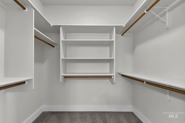 3742 N Heritage View Ave, Meridian, ID 83646 - spacious closet with carpet
