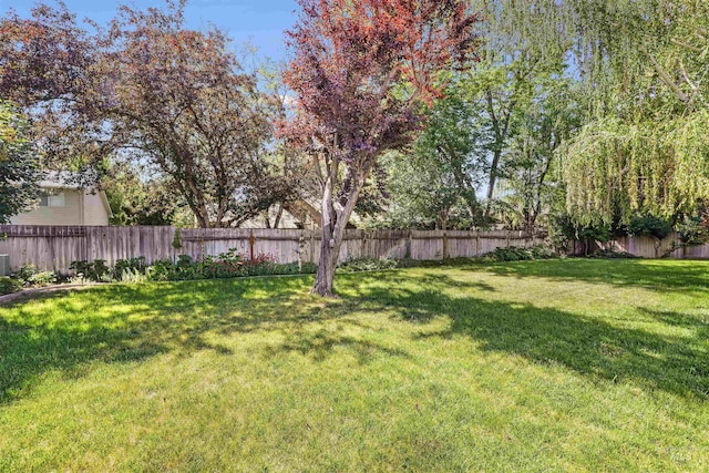 955 Bitterroot Pl, Twin Falls, ID 83301 - view of yard