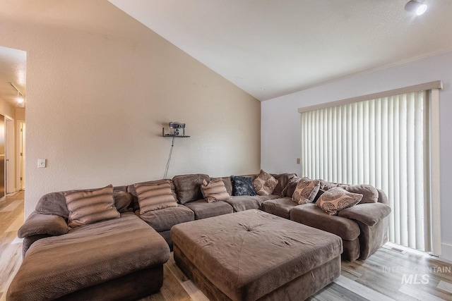 living area featuring vaulted ceiling and light wood-style flooring