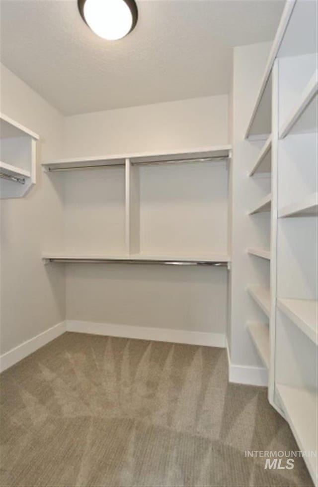 spacious closet with carpet