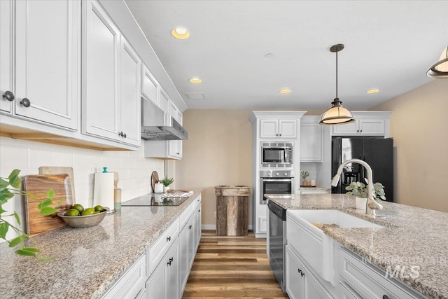 8618 Latimore Ln, Middleton, ID 83644 - kitchen with appliances with stainless steel finishes, under cabinet range hood, wood finished floors, a sink, and white cabinets
