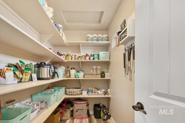 8618 Latimore Ln, Middleton, ID 83644 - view of storage area