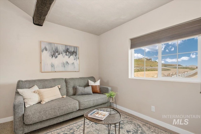 8618 Latimore Ln, Middleton, ID 83644 - living room featuring baseboards and carpet flooring