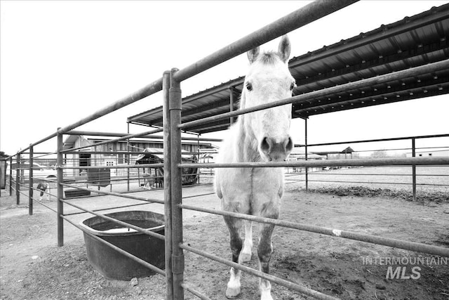 8618 Latimore Ln, Middleton, ID 83644 - view of stable