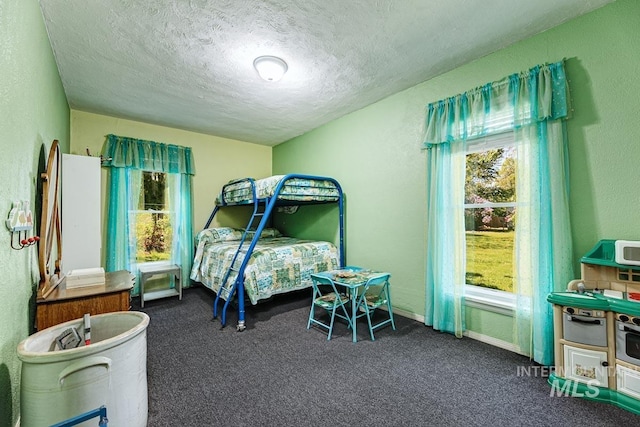 10838 W Southerland St, Boise, ID 83709 - carpeted bedroom with baseboards, a textured ceiling, and multiple windows