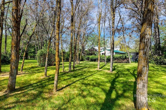 10838 W Southerland St, Boise, ID 83709 - view of yard