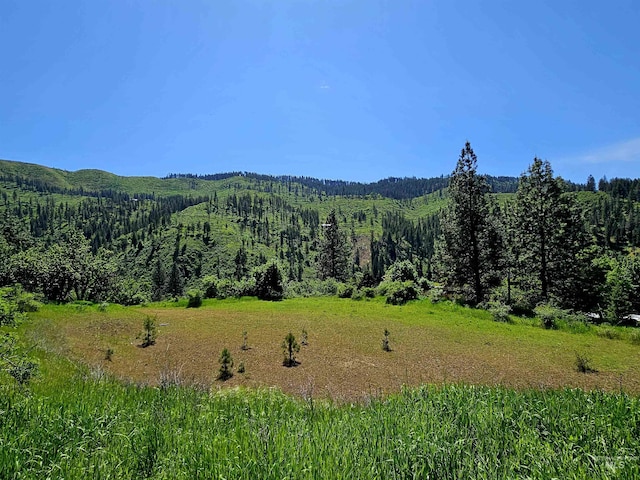 TBD Adams Rd, Parcel D, Orofino ID, 83544 land for sale