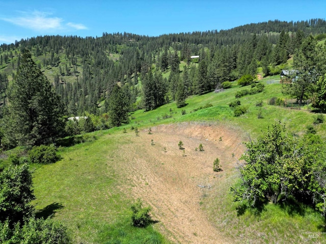 Listing photo 2 for TBD Adams Rd, Parcel D, Orofino ID 83544